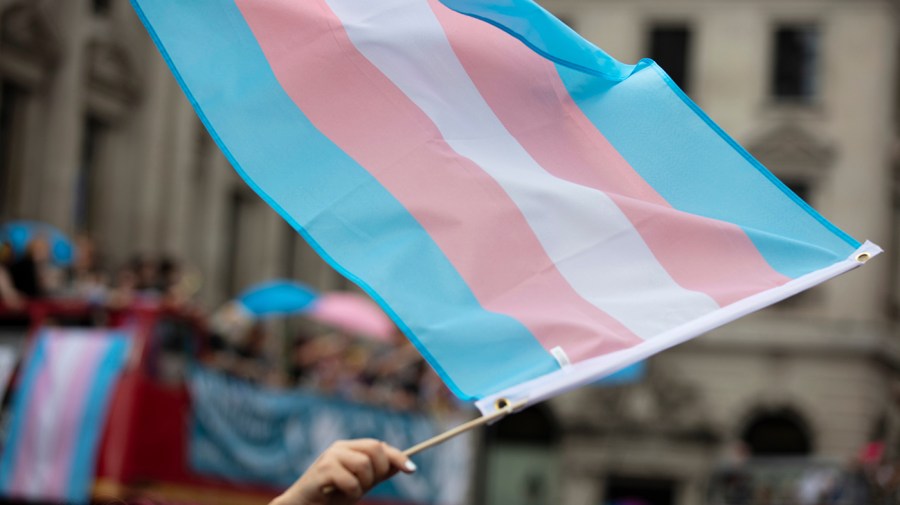 A transgender flag is waved at LGBTQ march.