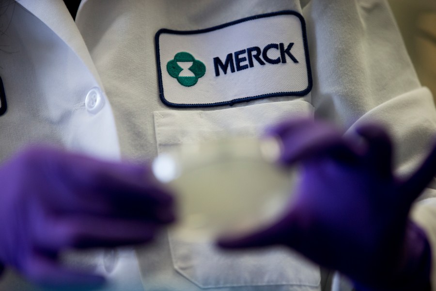 FILE - A Merck scientist conducts research on Feb. 28, 2013, in West Point, Pa. Merck is suing the federal government Tuesday, June 6, 2023, over a plan to negotiate Medicare drug prices, calling the program a sham equivalent to extortion. The drugmaker is seeking to halt the program, which was laid out in the Inflation Reduction Act and is expected to save taxpayers billions of dollars in the coming years. (AP Photo/Matt Rourke, File)