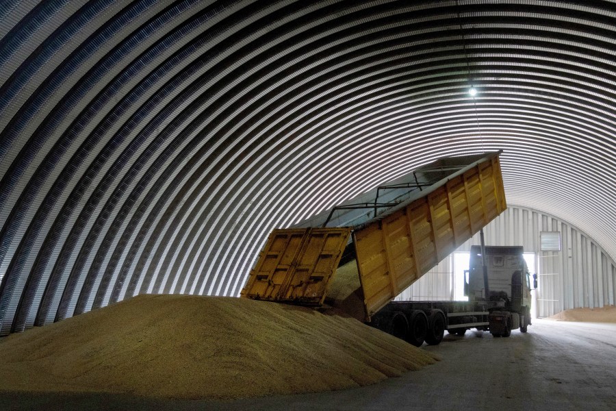 File - A dump track unloads grain in a granary in the village of Zghurivka, Ukraine, on Aug. 9, 2022. Following the collapse of a major dam in southern Ukraine, global prices of wheat and other key consumer goods climbed higher on Tuesday. (AP Photo/Efrem Lukatsky, File)