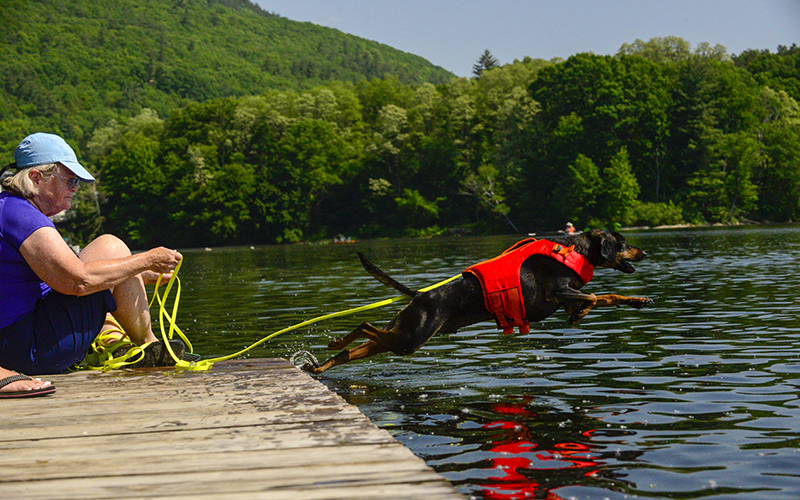 A dog wearing an orange vest leaps from a dock into the water while its owner sits to the left and watches