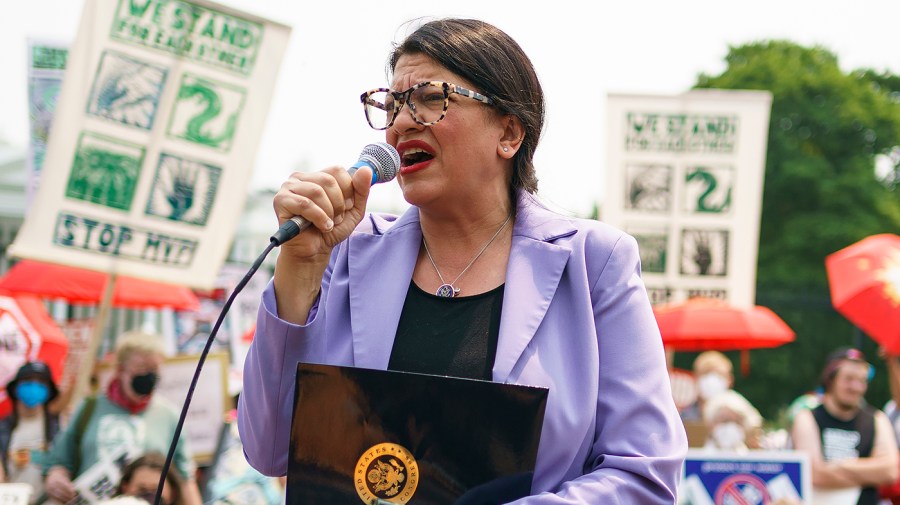 Rep. Rashida Tlaib (D-Mich.)