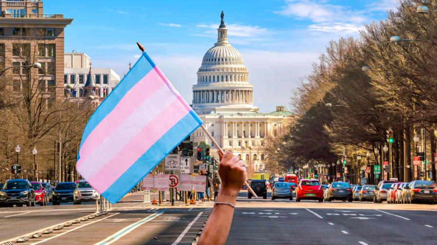 Photo Illustration: Trans-rights advocate holds up flag in front of the U.S. Capitol