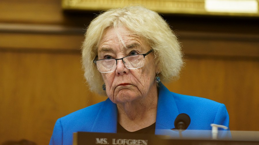 Rep. Zoe Lofgren (D-Calif.)