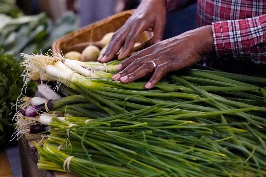 File - Sylvain Bukasa, of Dunbarton, N.H., rests his hands on vegetables grown on his farm at Fresh Start Food Hub & Market, on June 15, 2023, in Manchester, N.H. On Friday, the Labor Department releases the producer price index for July, an indicator of inflation at the wholesale level. (AP Photo/Charles Krupa, File)