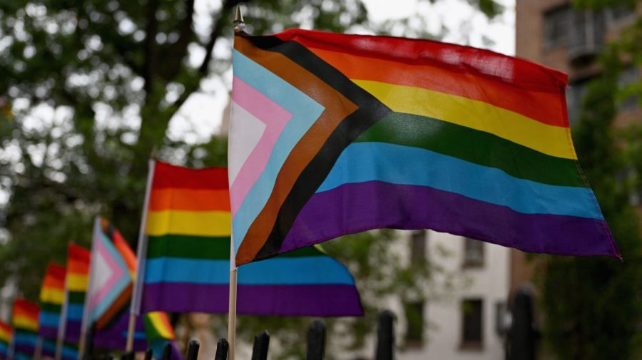 Flags in support of the LGBTQ community are displayed in a row.