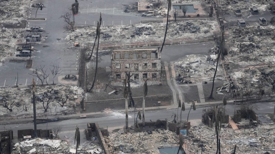 Wildfire wreckage in Hawaii