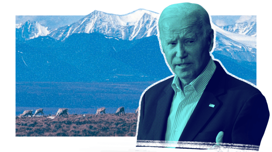 Photo illustration of Joe Biden, right, in teal with a halftone texture, over a photo of caribou grazing with a mountain in the background. Illustration is framed by a white border.