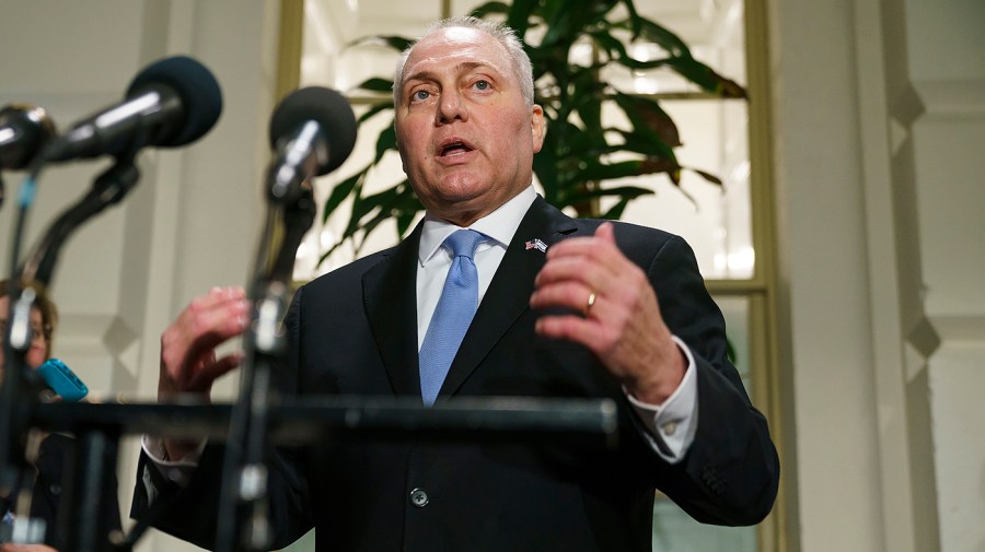 Majority Leader Steve Scalise (R-La.)