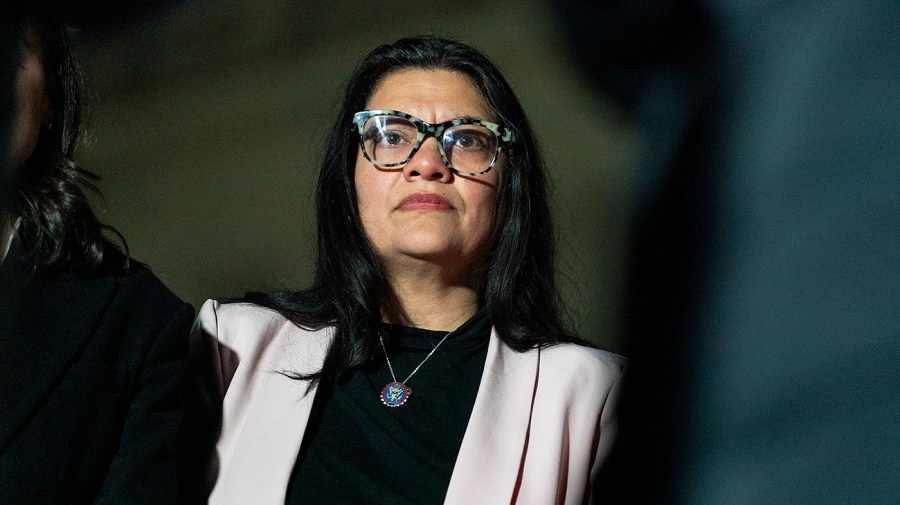 Rep. Rashida Tlaib (D-Mich.)