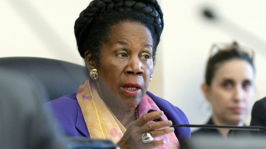 Representative Sheila Jackson Lee speaks at a congressional hearing.