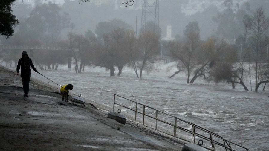 A man walks his dog on the edge of the Los Angeles River, carrying stormwater downstream Sunday, Feb. 4, 2024, in Los Angeles.