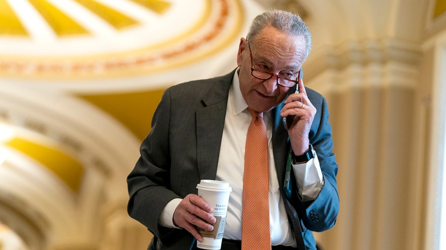 Majority Leader Chuck Schumer (D-N.Y.)