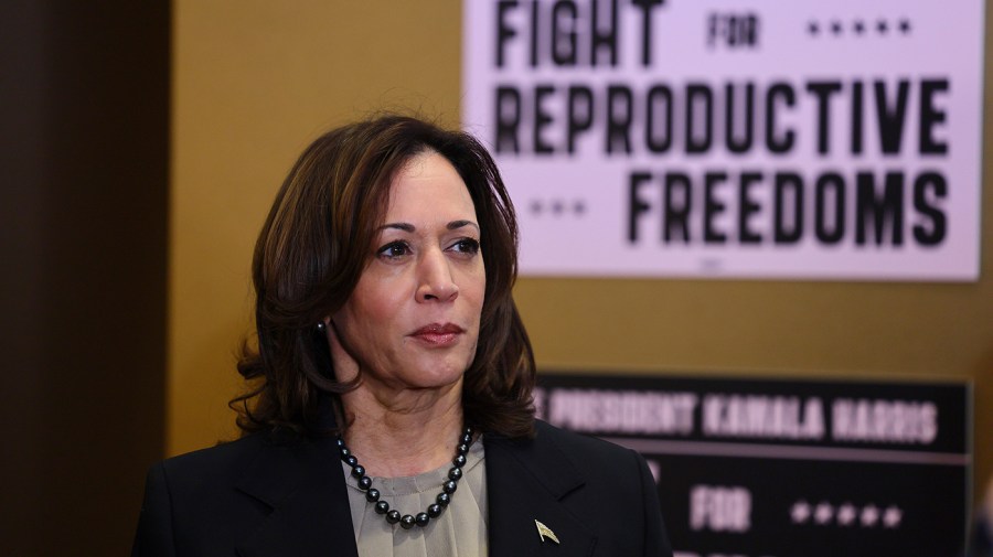 Vice President Harris speak is seen at a reproductive freedom event.