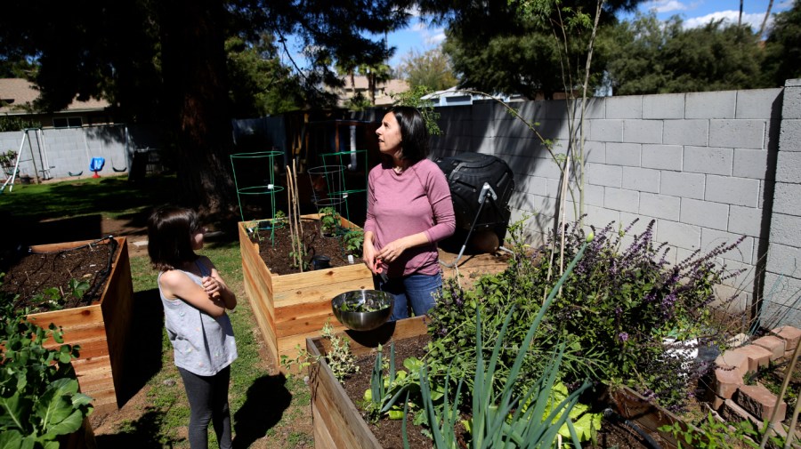 In this March 16, 2020 photo, Katherine Rutigliano and her daughter, Charlotte, gather some herbs at their home in Phoenix, Ariz.