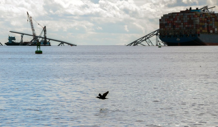 The site of the collapsed Francis Scott Key Bridge and the container ship that toppled it, Dali, right, are seen from a debris retrieval vessel, the Reynolds, April 4, 2024. (Kaitlin Newman/The Baltimore Banner via AP)