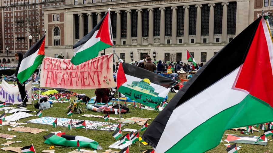 Students at Columbia University occupy a central lawn on campus.