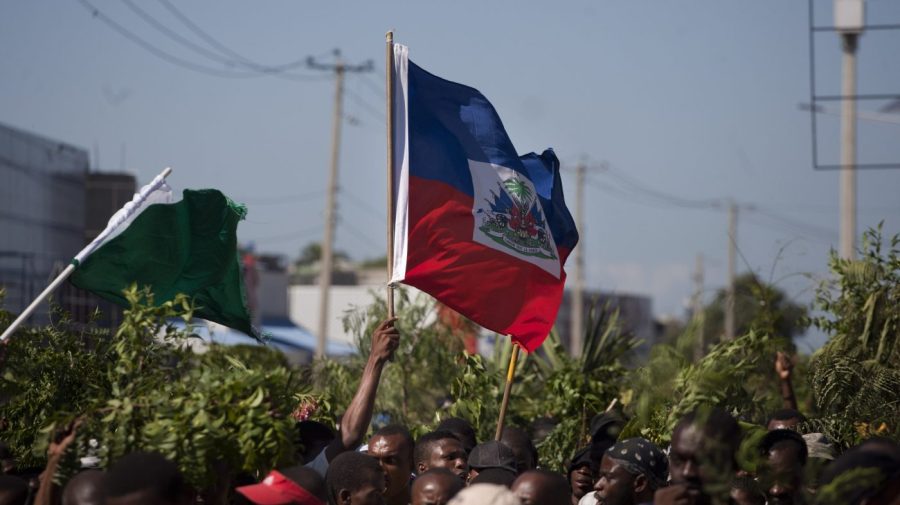 A protester holds up the Haitian national flag.