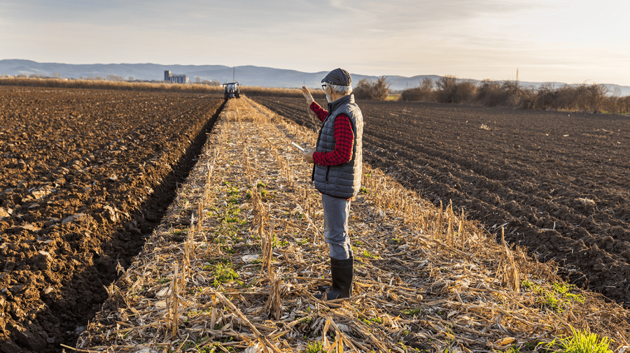 A farmer stands in a field as a machine works in the distance.