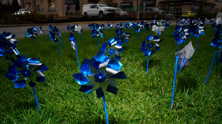 Blue pinwheels, each representing a child who was a victim of abuse or neglect in Fayette County, Ky., in 2022, sit on display near an intersection, Thursday, April 6, 2023, in Lexington, Ky.