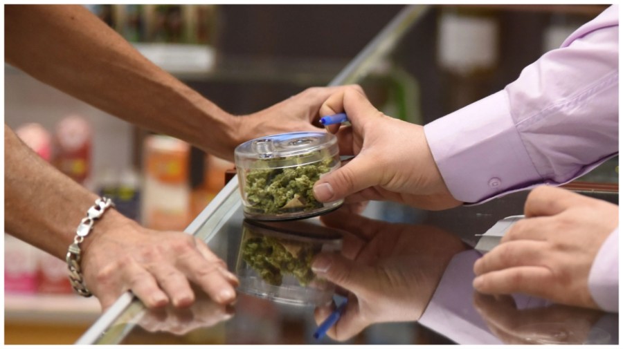 A budtender shows cannabis buds to a customer.