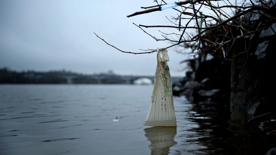 A plastic bag is seen washed up on the banks of the Anacostia River on March 21, 2019 in Washington, DC.