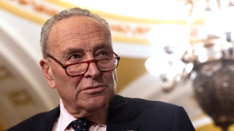 Senate Majority Leader Chuck Schumer glances to the side during a press conference.