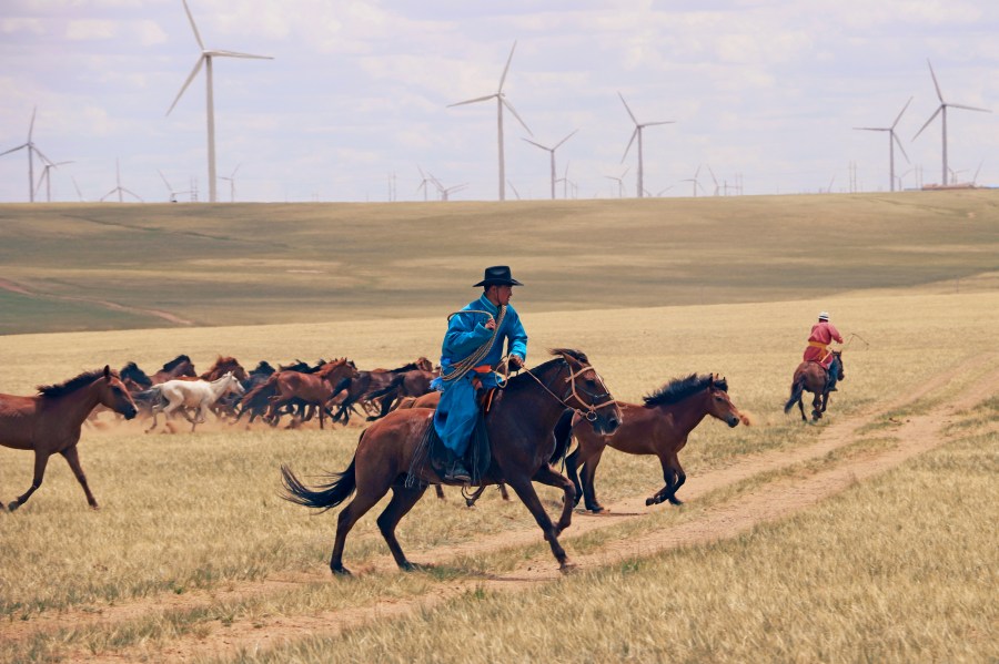 Herders guide horses on an open plain in Inner Mongolia, China, July 2019. Scientists analyzed ancient horse genomes to calculate dates for the domestication of the modern horse -- 4,200 years ago, according to new research published Thursday, June 6, 2024, in the journal Nature. (Ludovic Orlando/Centre for Anthropobiology and Genomics of Toulouse, CAGT via AP)