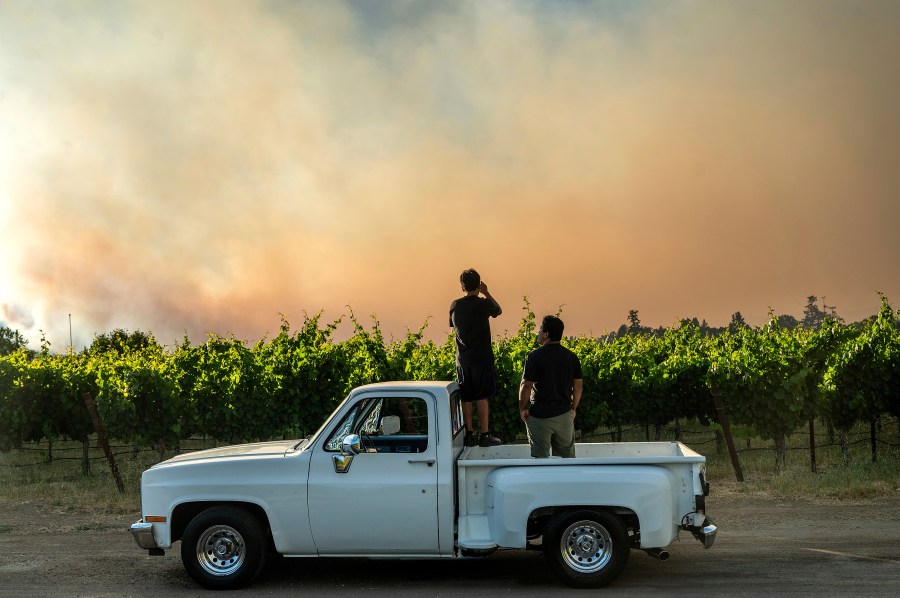 Two men stand in a pickup truck bed to survey a fire on the horizon as a cloud of smoke rises above a vineyard.