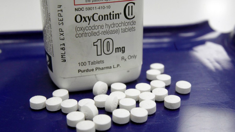 In this Feb. 19, 2013 file photo, OxyContin pills are arranged for a photo at a pharmacy in Montpelier, Vt.