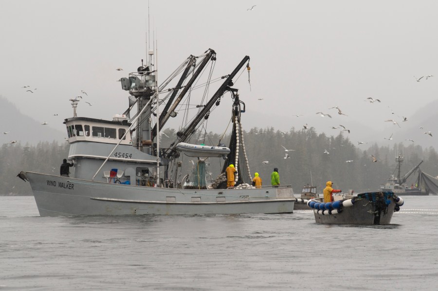 The fishing vessel Wind Walker fishes near Sitka, Alaska, March 29, 2022, during the Sitka Sound sac roe fishery. (James Poulson/The Daily Sitka Sentinel via AP)