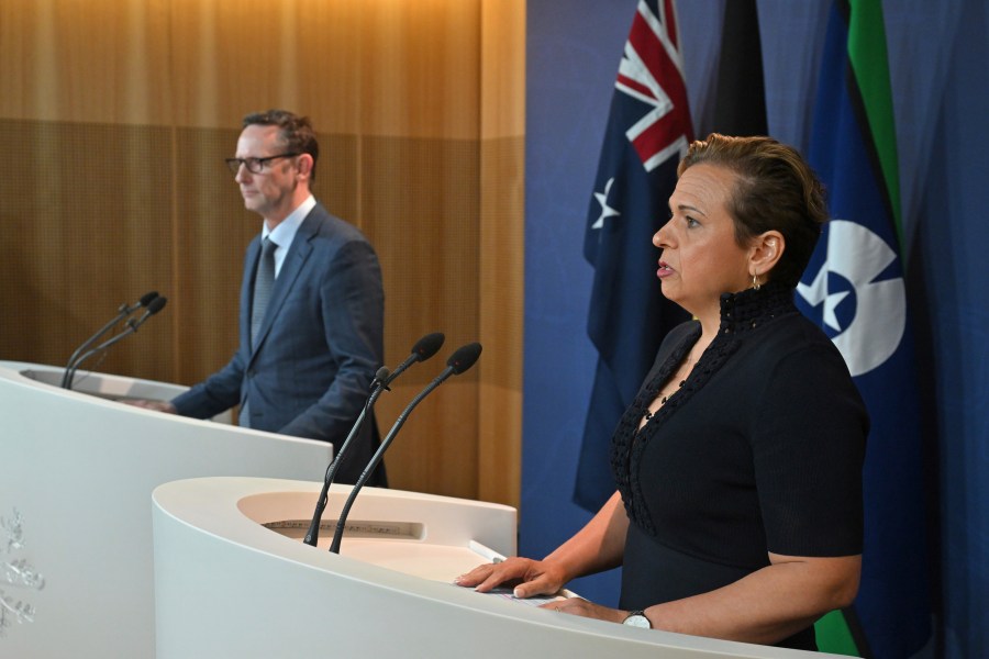 Assistant Treasurer Stephen Jones, left, and Minister for Communications Michelle Rowland attend a press conference in Sydney, Thursday, Dec. 12, 2024. (Mick Tsikas/AAP Image via AP)